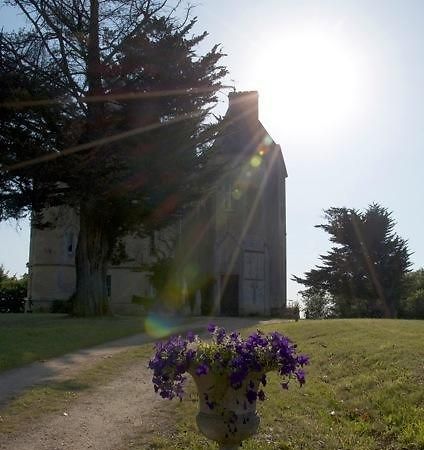 Chateau Fauchey Bed & Breakfast Cadillac Dış mekan fotoğraf