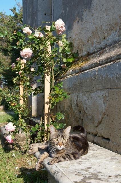 Chateau Fauchey Bed & Breakfast Cadillac Dış mekan fotoğraf