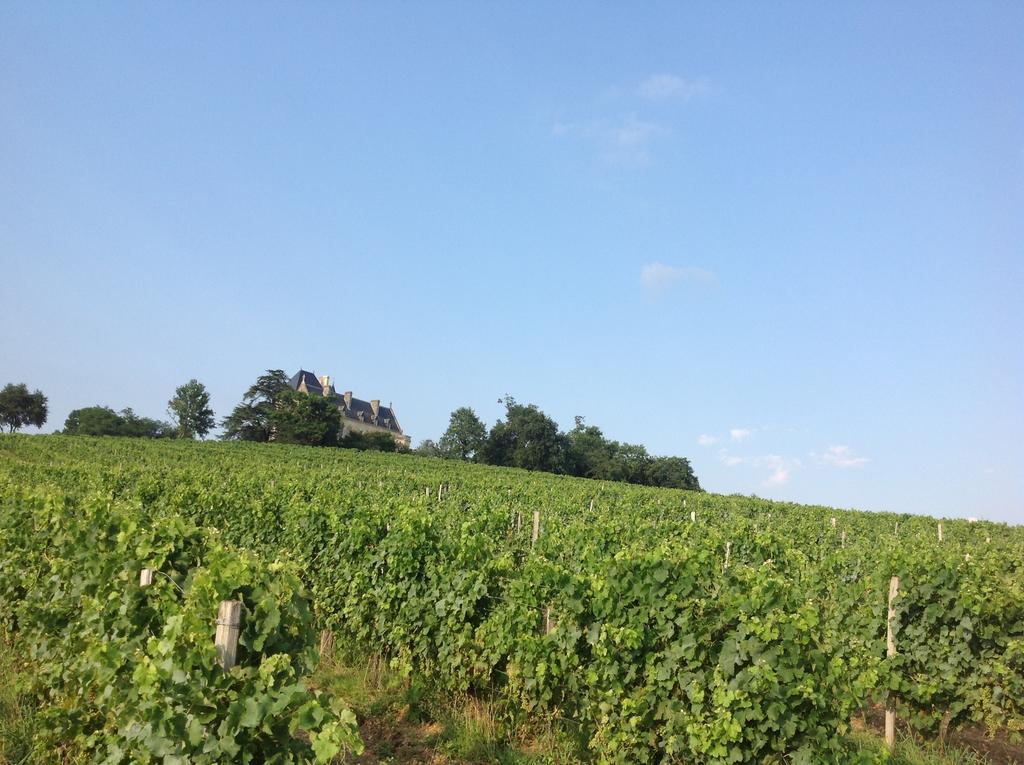 Chateau Fauchey Bed & Breakfast Cadillac Dış mekan fotoğraf